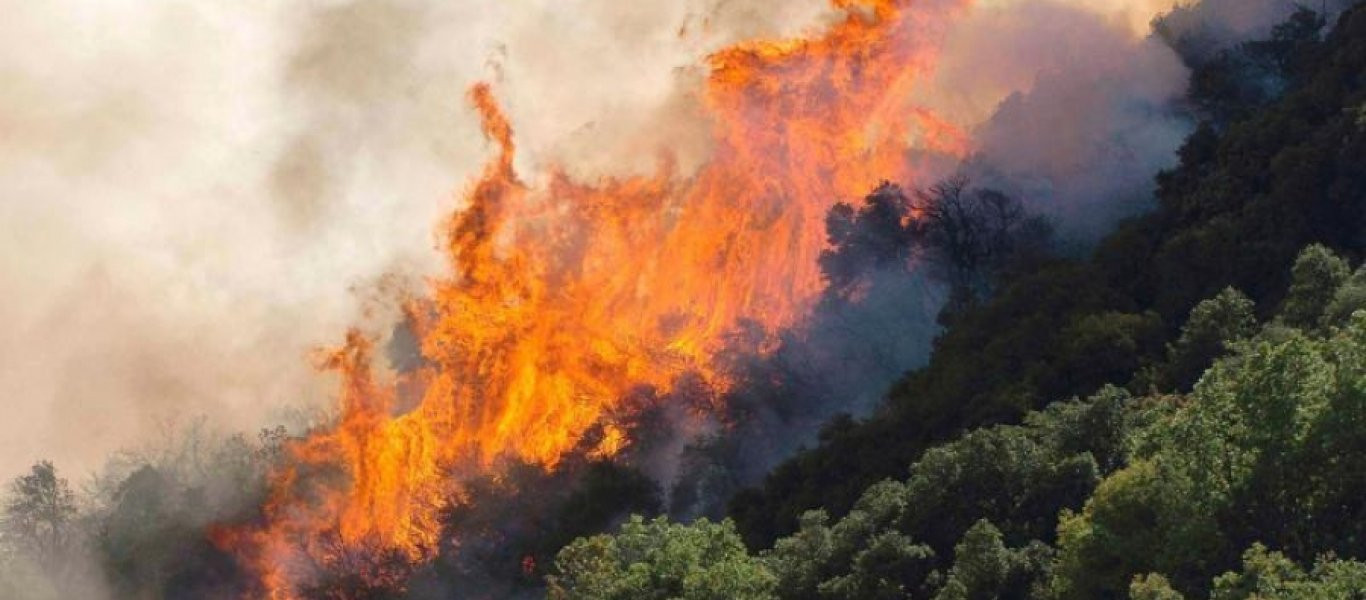 Σε εξέλιξη για τρίτη μέρα η φωτιά στο Κούτσι Νεμέας (φωτό)